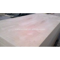 Hot Sale ! Wholesale high quality russian birch plywood with poplar core and CARB Glue