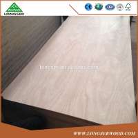 Cheap Price Okoume Veneer Plywood Doors Design