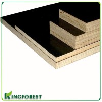 pine lvl h20 timber plywood for construction formwork for wholesales