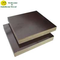 Black Construction Concrete Formwork Plywood