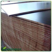 3*6 foot f17 film faced plywood with great price