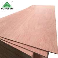 Cheap Price 3mm Hot Door Skin Plywood