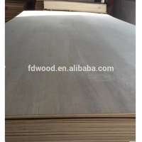 15mm C grade russian/baltic birch plywood for sale